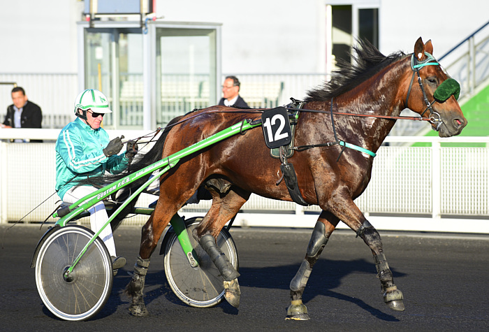Pronostic quinté gratuit prix de craon 2023