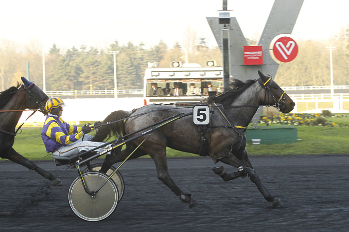 Pronostic gratuit Quinté Prix de Salvanhac 2023
