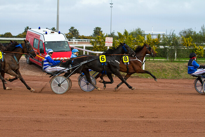 Prix Roger Ledoyen 2024 Cagnes Sur Mer