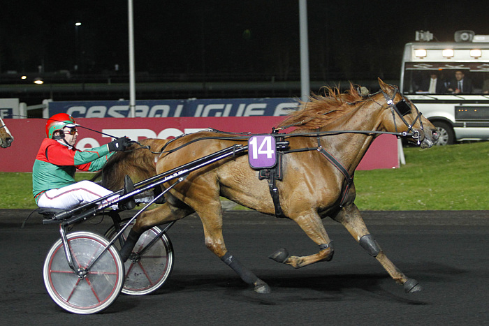 Pronostic quinté gratuit Prix du Cantal 2024