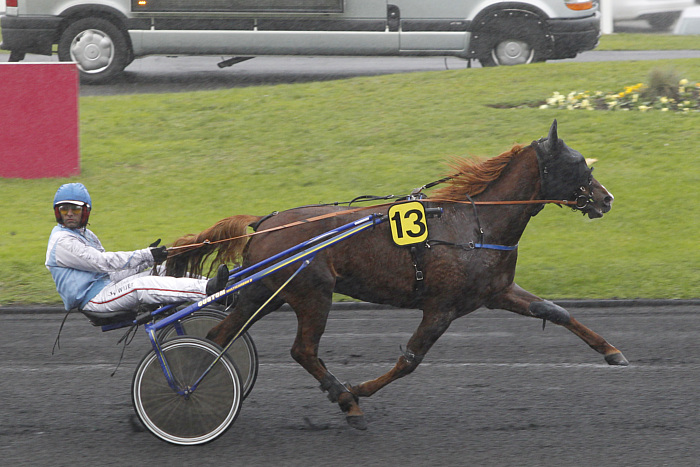 Pronostic quinté gratuit Prix de Durtal-les-Rairies 2024
