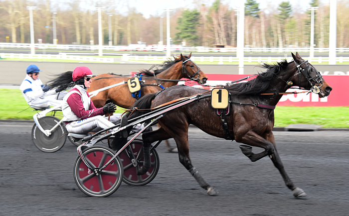 Pronostic quinté gratuit Prix de Paris 2024