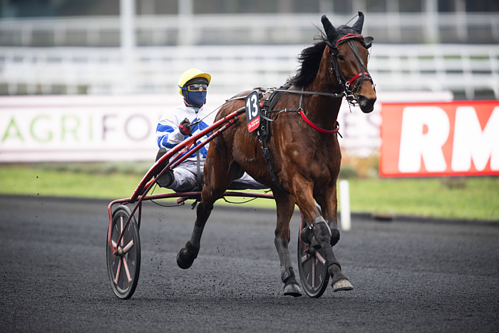 Pronostic quinté gratuit Prix de la Gironde 2024