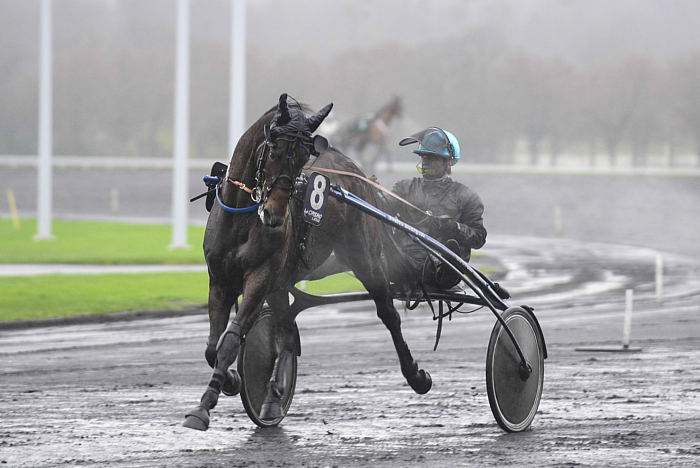 Pronostic quinté gratuit Prix Conseil Mayenne 2024