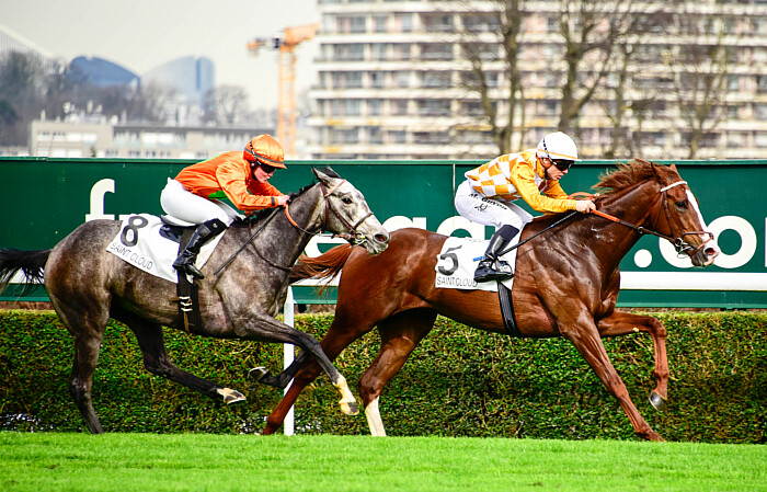 Pronostic quinté gratuit Prix de Fouilleuse 2024