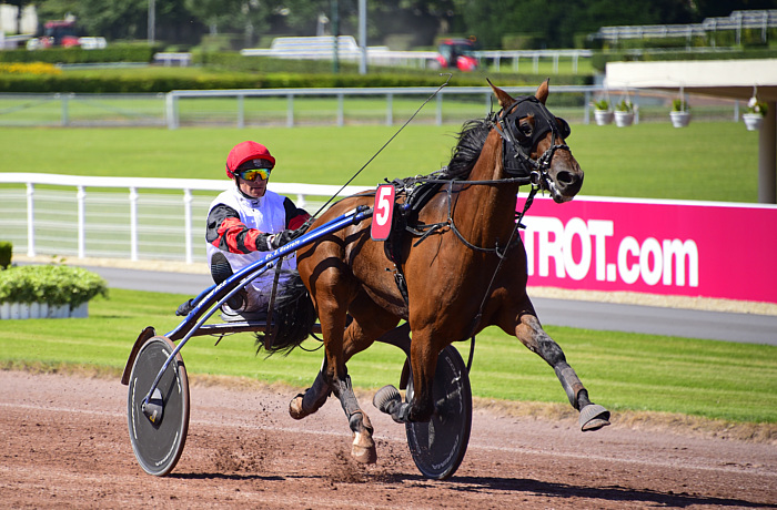 Pronostic quinté gratuit Vichy Celestins 2024