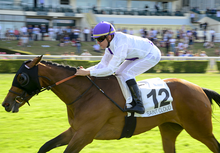 Pronostic quinté gratuit Prix Magic Night 2024