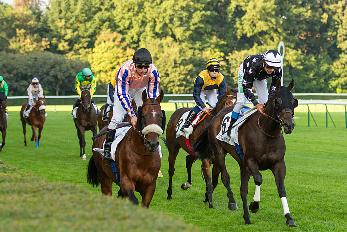 Pronostic quinté gratuit Qatar Prix Carrus 2024