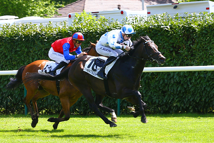 Pronostic quinté gratuit Prix Cabinet des Livres 2024