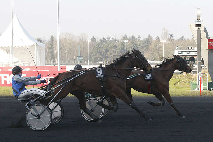 Pronostic quinté gratuit Prix Bettina 2025