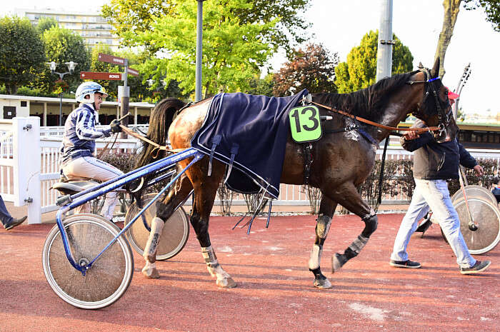 Pronostic quinté gratuit Prix Henri Berry 2025