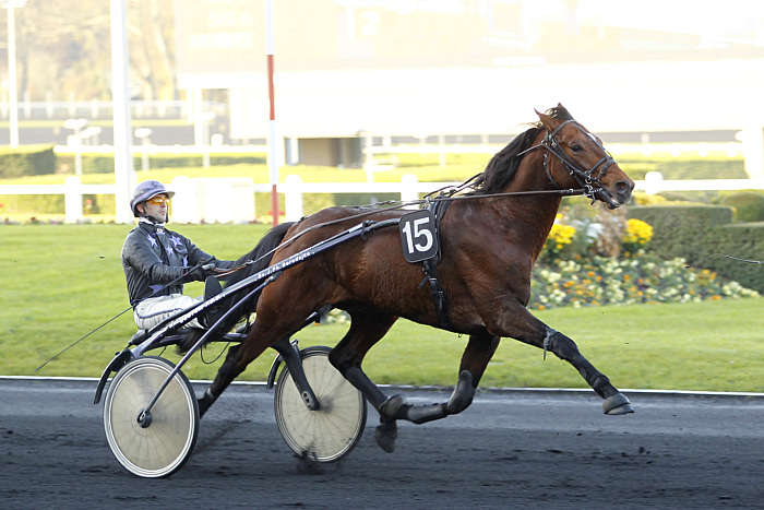 Pronostic quinté gratuit Prix Leo 2025