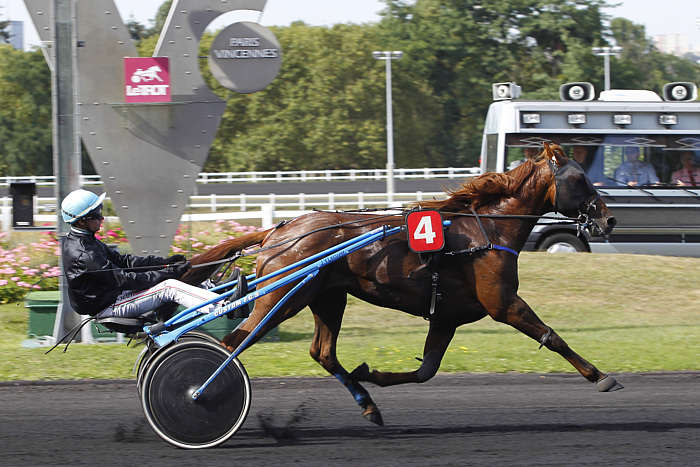 Pronostic quinté gratuit Prix Fides 2025