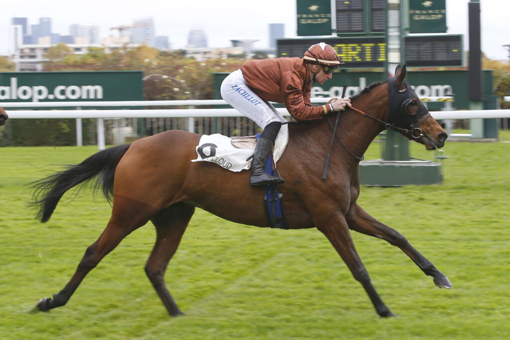 Pronostic quinté gratuit Prix Orangerie 2025