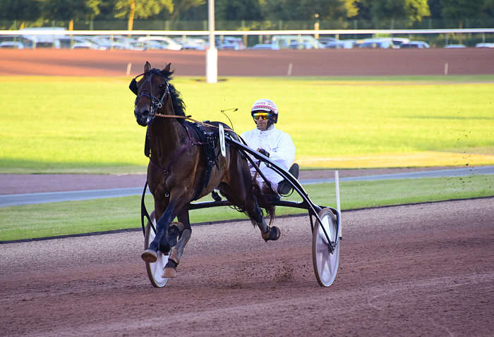 Pronostic quinté gratuit Societe des Courses de Vire 2025