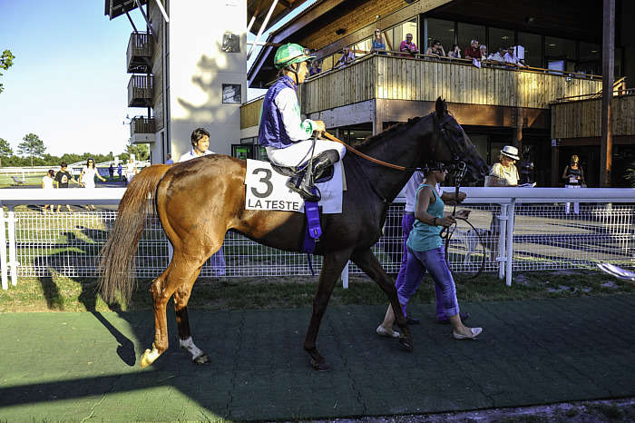 Pronostic quinté gratuit Christie Real Estate 2025