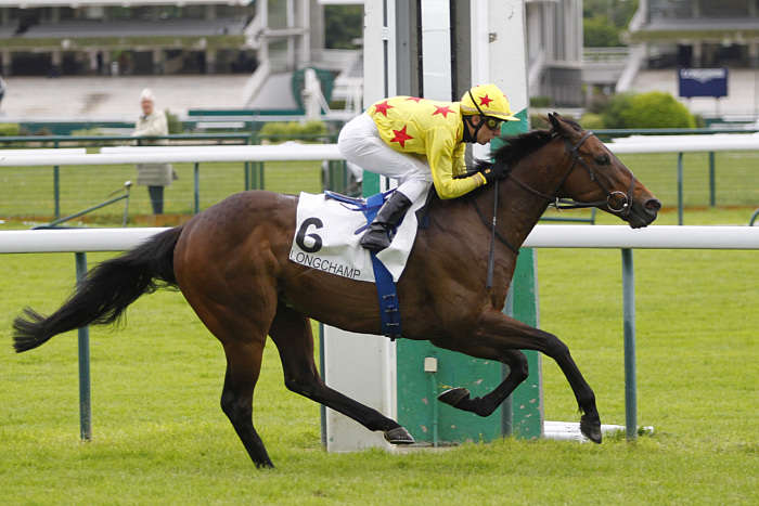 Pronostic quinté gratuit Handicap Fete Nationale 2025