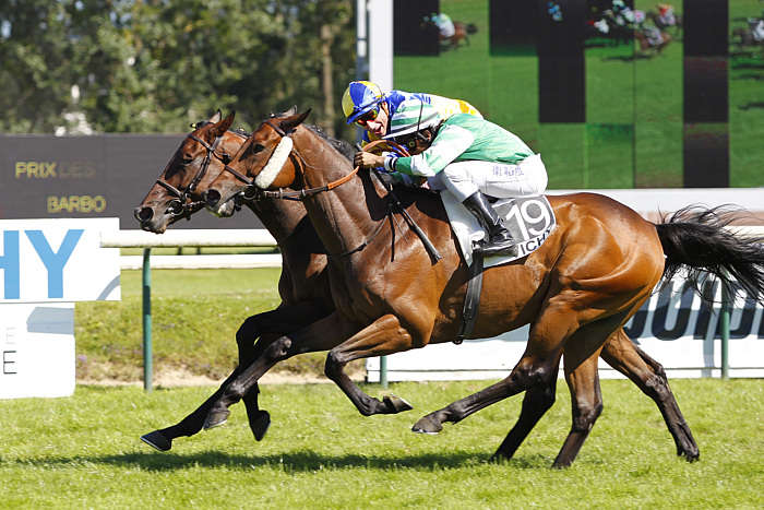 Pronostic quinté gratuit Imperatrice Eugenie 2025