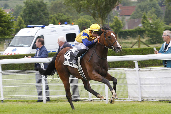 Pronostic quinté gratuit Prix de Sussex 2025