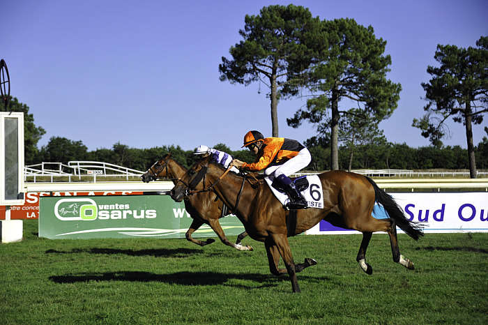 Pronostic quinté gratuit Prix Journal le Veinard 2025