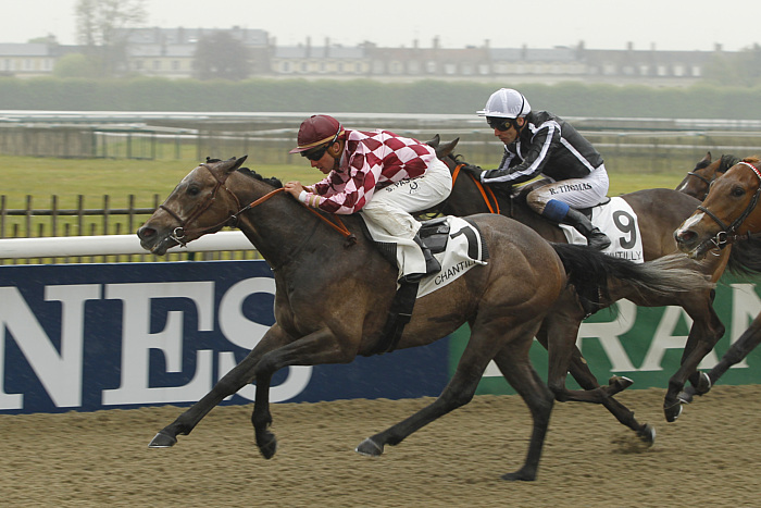 Pronostic quinté gratuit Prix du Havre 2025