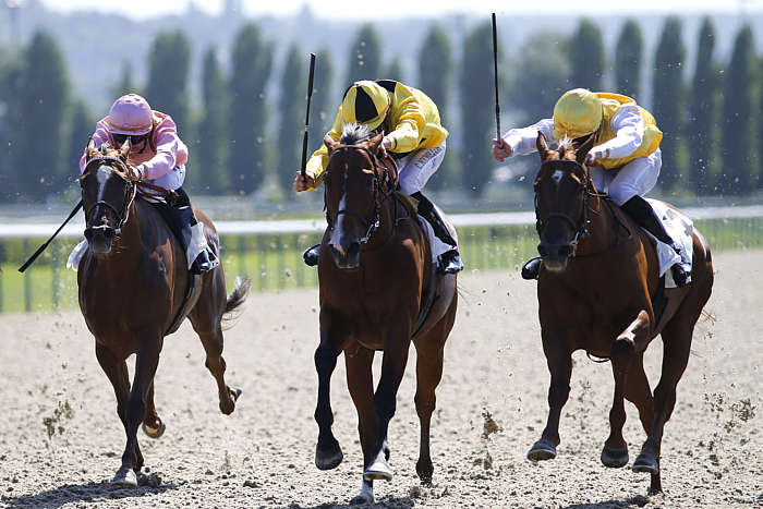 Pronostic quinté gratuit Sumbe Grand Handicap 2025