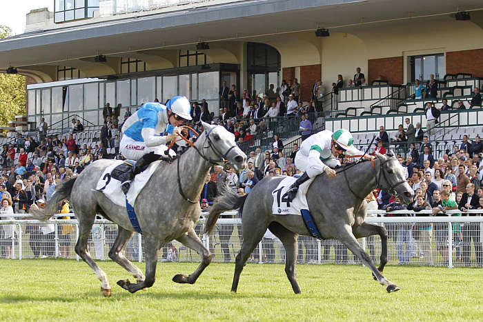 Pronostic quinté gratuit Prix Francois Andre 2025