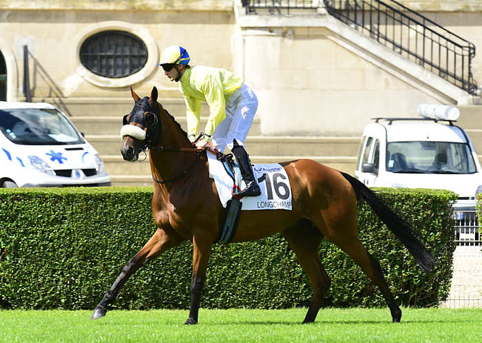 Pronostic quinté gratuit Prix Reine Marguerite 2025
