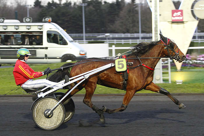 Pronostic quinté gratuit Prix Bruna 2025