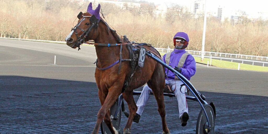 Pronostic quinté gratuit GNT Meslay-du-Maine 2025