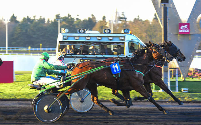 Pronostic quinté gratuit Criterium des 4 Ans 2025
