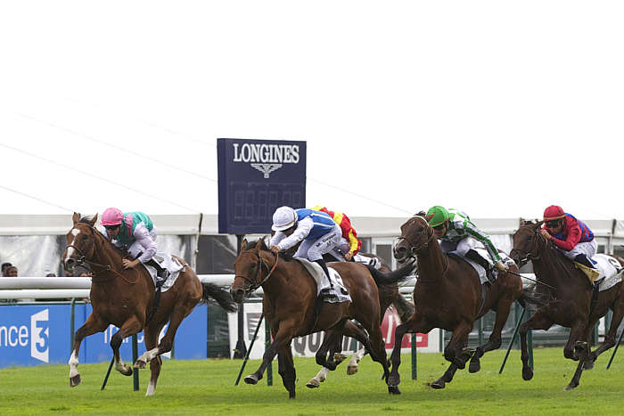 Pronostic quinté gratuit Super Handicap de la Rentree 2025