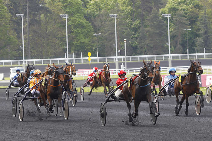 Pronostic quinté gratuit Prix de Taverny 2025