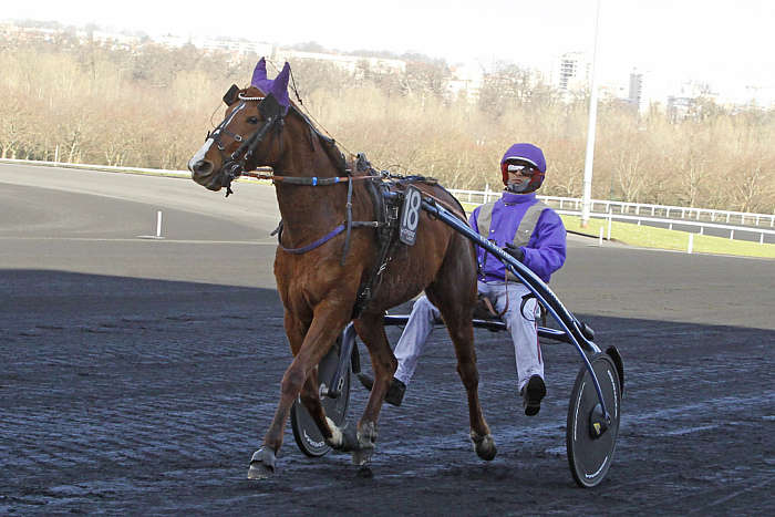 Pronostic quinté gratuit Prix Argeles 2025