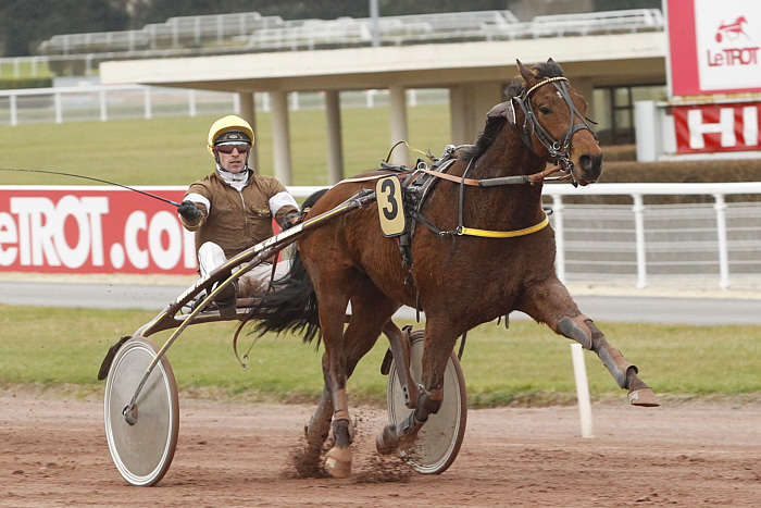 Pronostic quinté gratuit Grand Prix Ville de Laval 2025
