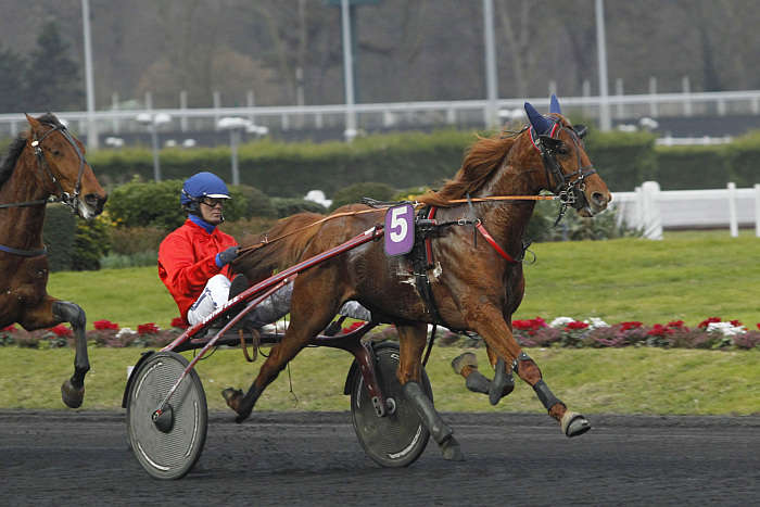 Pronostic quinté gratuit Prix Gudrun 2025