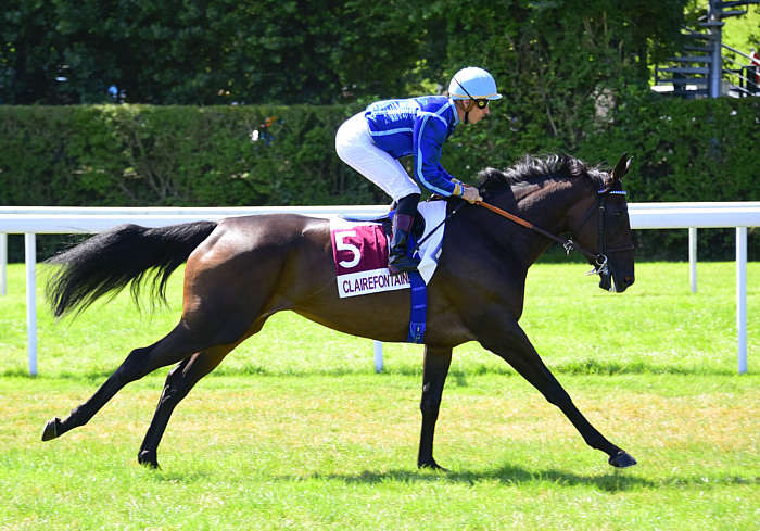 Pronostic quinté gratuit Prix des Equidays 2025
