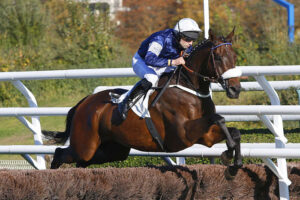 Pronostic quinté gratuit Prix Montgomery 2025