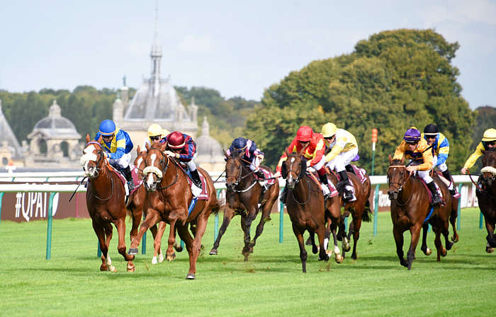 Pronostic quinté gratuit Prix Elevage 2025