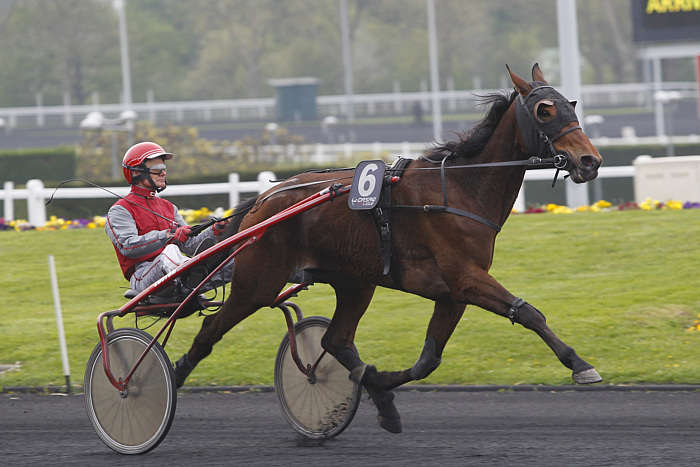 Pronostic quinté gratuit Prix Barbara 2025