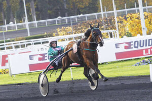 Pronostic quinté gratuit Prix des Alpes 2025