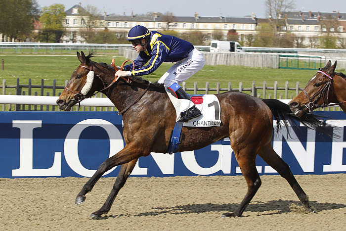 Pronostic quinté gratuit Rotonde de Minerve 2025