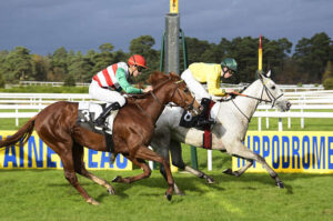 Pronostic quinté gratuit Prix Seine et Marne 2025