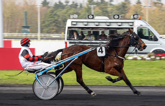 Pronostic quinté gratuit Prix Mizar 2025