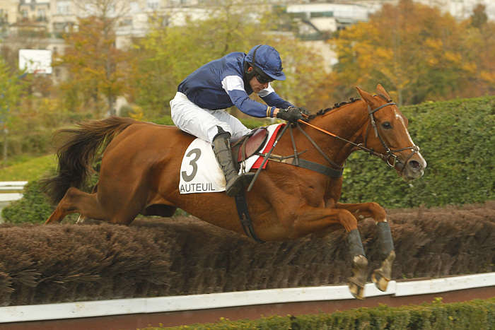 Pronostic quinté gratuit Prix Count Schomberg 2025