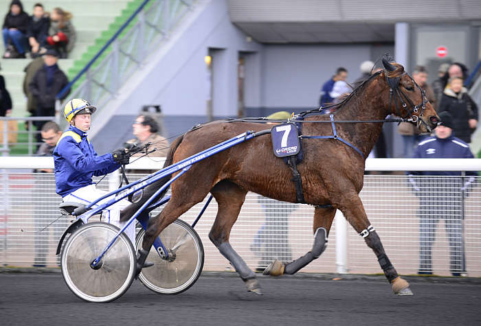Pronostic quinté gratuit Sille le Guillaume 2025