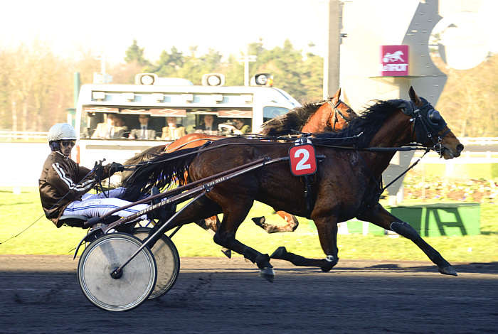 Pronostic quinté gratuit Prix Daniel Miette 2025