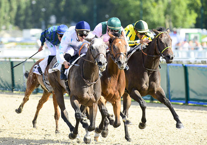 Pronostic quinté gratuit Prix Chateau de Bayeux 2025