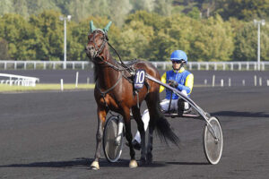 Pronostic quinté gratuit Prix de Villers Cotterets 2025