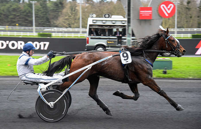 Pronostic quinté gratuit Prix Brasilia 2025